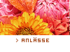 Anlässe